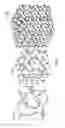 Fig. 04 - Monolithic bicontinuous labyrinth structures and methods for their manufacture