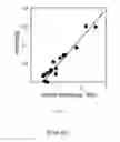 Fig. 05 - Method for estimating a value of a kerogen property in subsurface formations