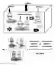 Fig. 01 - QUANTITATIVE FRET-BASED INTERACTION ASSAY