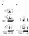 Fig. 02 - Cancer Diagnostic