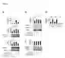 Fig. 06 - Cancer Diagnostic