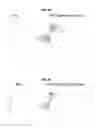 Fig. 08 - METHODS OF CHARACTERIZING ADRENOCORTICAL TUMORS