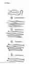 Fig. 02 - Method for profiling protein methylation