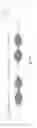 Fig. 02 - System and method for detecting an arc fault in a power line signal including a communication signal modulated on an AC power signal