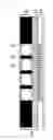 Fig. 07 - Image sensor and electronic apparatus