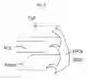 Fig. 08 - Antenna-integrated polarizer and flexible display device using the same