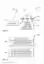 Fig. 08 - Multibeam diffraction grating-based display with head tracking