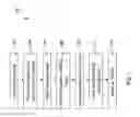 Fig. 02 - Method of fabrication polymer waveguide