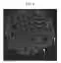 Fig. 07 - Microscope parameter setting method and observation method recognizing the shape of a cell