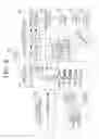 Fig. 09 - Image forming apparatus and method for image forming