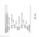 Fig. 19 - Systems and/or methods for type inference from machine code