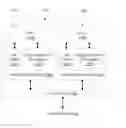 Fig. 01 - Prefetching of discontiguous storage locations in anticipation of transactional execution