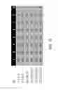 Fig. 11 - High performance interconnect physical layer