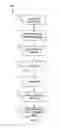 Fig. 06 - Advanced zero-knowledge document processing and synchronization