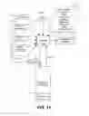 Fig. 12 - VIDEO GRAPH AND AUGMENTED BROWSER