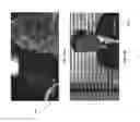 Fig. 20 - Universally interactive request for information