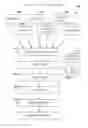 Fig. 01 - QUALITY INDUSTRY CONTENT MIXED WITH FRIEND'S POSTS IN SOCIAL NETWORK