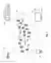 Fig. 02 - Space management for a hierarchical set of file systems
