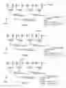 Fig. 01 - Dynamically-qualified aggregate relationship system in genealogical databases