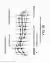 Fig. 44 - PRODUCING A THREE-DIMENSIONAL MODEL OF AN IMPLANT