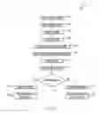 Fig. 07 - Restricting access to sensitive data using tokenization