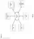 Fig. 04 - Object detection for video camera self-calibration