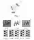 Fig. 07 - Real-time detection, tracking and occlusion reasoning