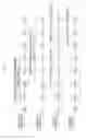 Fig. 08 - SELF-LEARNING SYSTEM AND METHOD FOR AUTOMATICALLY PERFORMING MACHINE LEARNING