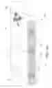 Fig. 06 - Continuous display shelf edge label device