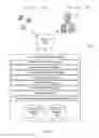 Fig. 02 - Presenting project data managed by a content management system