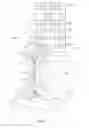 Fig. 02 - Self-checkout with three dimensional scanning