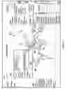 Fig. 06 - SYSTEMS AND METHODS FOR WEB-BASED HEALTH AND SECURITY MANAGEMENT