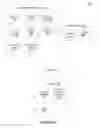 Fig. 08 - Systems and methods for image matting