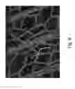 Fig. 08 - Method and apparatus for detecting defects on the surface of tyres