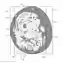Fig. 01 - Measuring intramuscular fat
