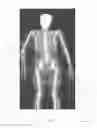 Fig. 03 - Measuring intramuscular fat
