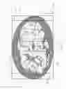 Fig. 08 - Measuring intramuscular fat