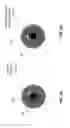 Fig. 06 - Detecting facial liveliness