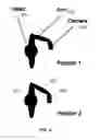 Fig. 07 - Detecting facial liveliness
