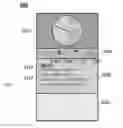 Fig. 01 - Selective dynamic color management for user interface components of a media player