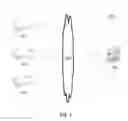 Fig. 02 - Display method and apparatus