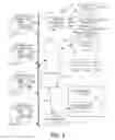 Fig. 06 - Display assembly for relevant messaging for gaming apparatus and methods therefor