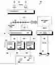 Fig. 01 - Systems and methods for providing secure data for wagering for live sports events