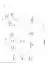 Fig. 04 - Detection of extra-platoon vehicle intermediate or adjacent to platoon member vehicles