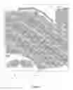 Fig. 06 - PATTERN AND METHOD FOR ASSEMBLY OF GARMENTS