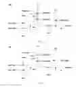 Fig. 02 - Pixel driving circuit, pixel array, driving method and organic light emitting display panel