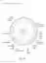 Fig. 80 - Eye mounted displays and systems