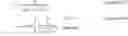Fig. 09 - CONFERENCE WORD CLOUD