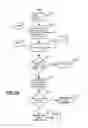 Fig. 10 - Method for verification and blacklist detection using a biometrics platform