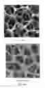Fig. 09 - Flexible and shape-conformal rope-shape supercapacitors